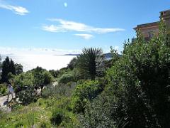183 D26 Rayol Canadel 1_000024